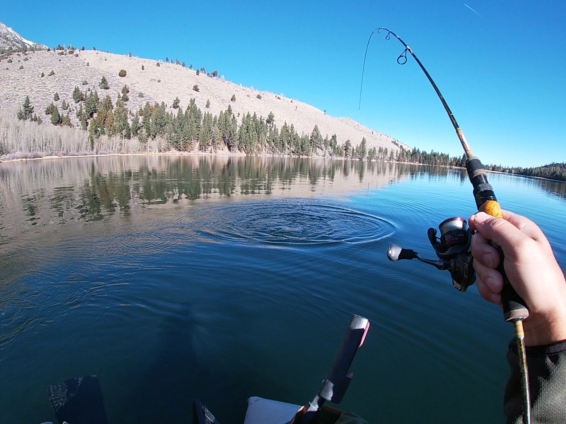 Be specific when selecting rods for trout fishing