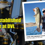 DVL_1920x600 12-3