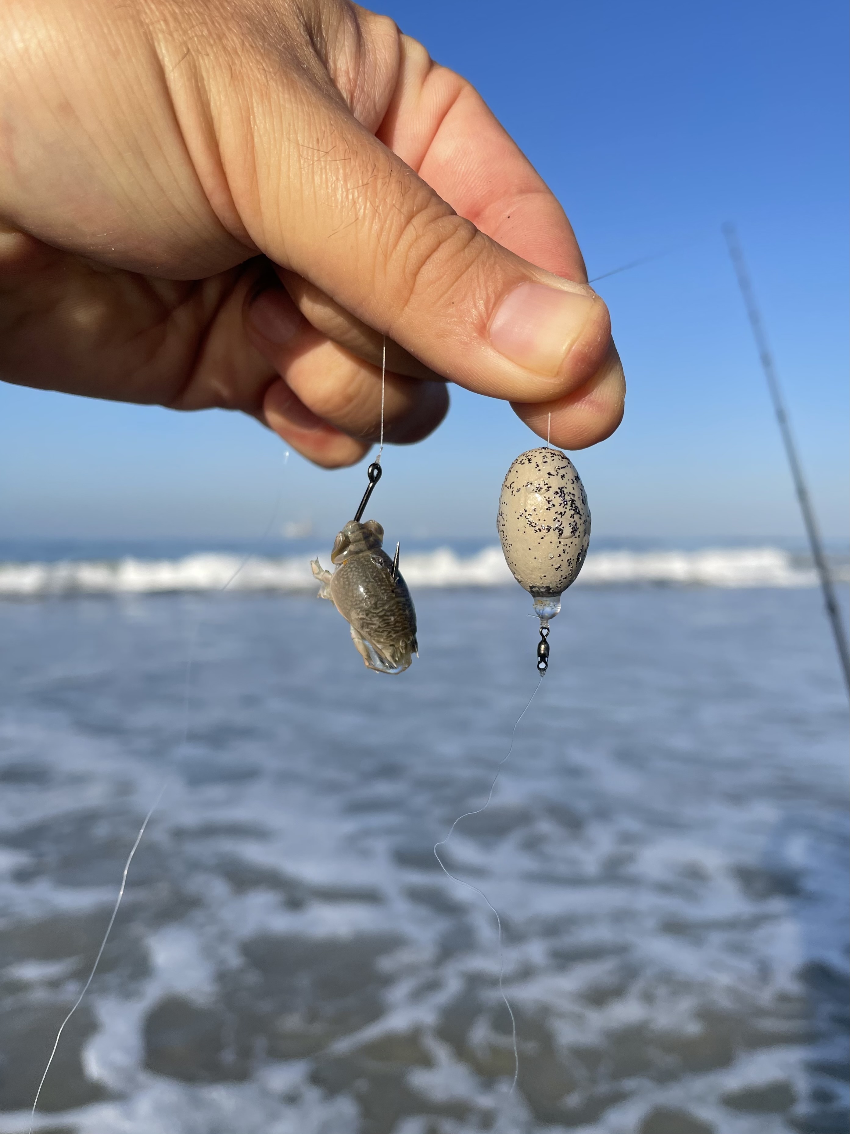Surf fishing – 5 tips to catch more surfperch on the West Coast
