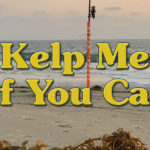 KelpMe_1920x600-12-17