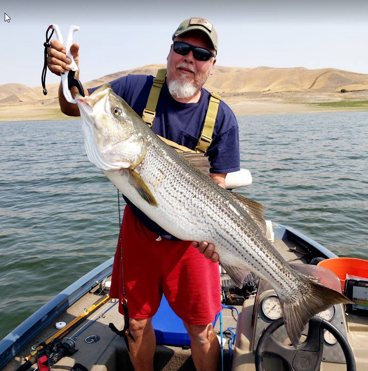 How To Work A Jerkbait To Catch Striper At The California Aqueduct 