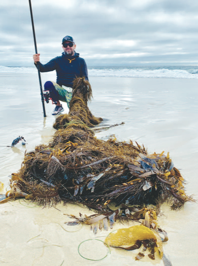 Kelp Me If You Can: Tips for Avoiding Seaweed While Surf Fishing