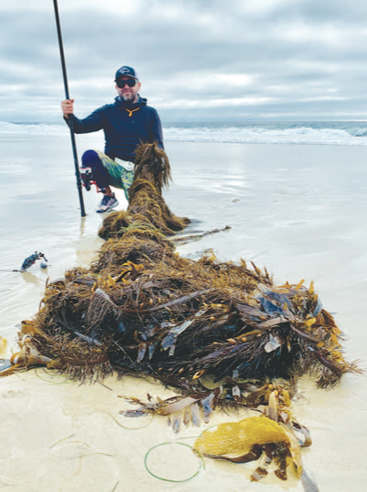 Targeting monster Surf Perch