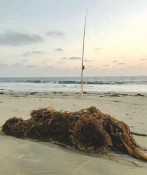 Using PVC Pipe Has Pole Holders On The Beach To Surf Fish 