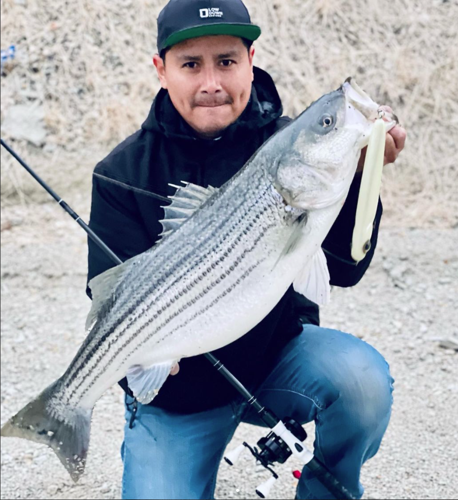 Big-bait chucker lands three stripers over 20 pounds spanning