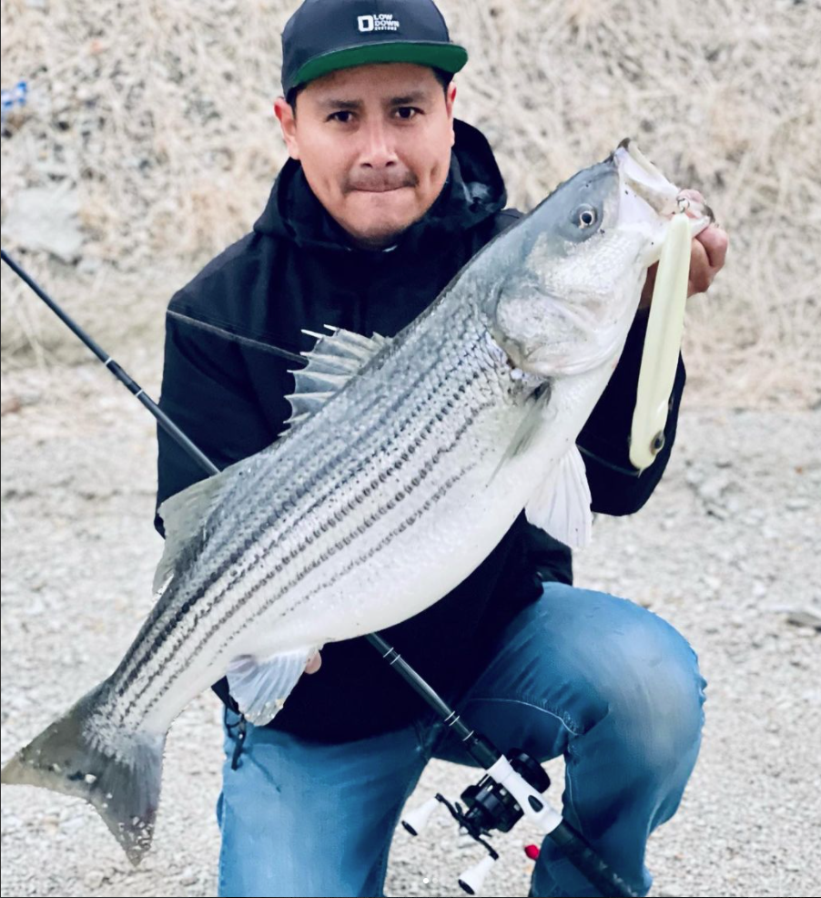 Big-bait chucker lands three stripers over 20 pounds spanning three days on  Pyramid