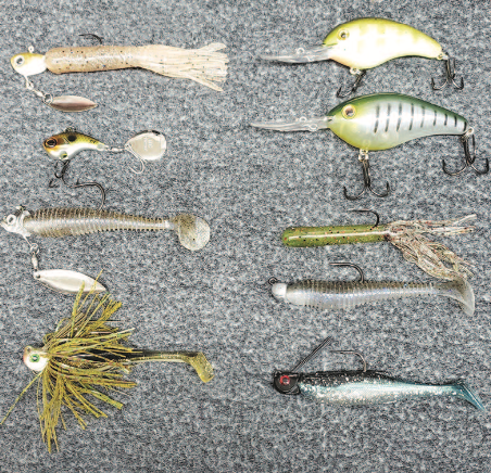 Five key winter bass baits for bays, harbors and breakwaters