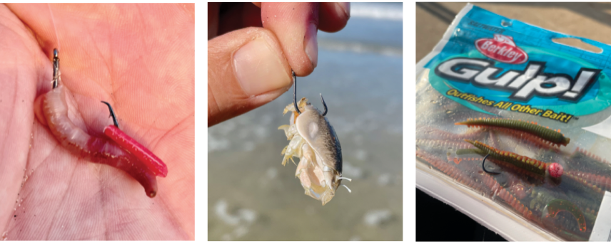 How to Protect Your Hook Bait From Crab Attacks - SeaAngler