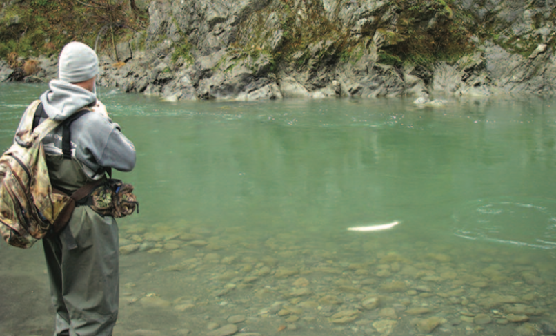 Steelhead out of the big river! Gotta watch your step while fishing here.  Two more steps and it drops off to 20 feet! 😳🐟 • • �