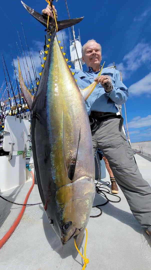 Long Range Fishing Lures-Catch Cow Yellowfin Tuna, Catch Wahoo