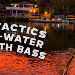 WinterBass-1920×600-1-14