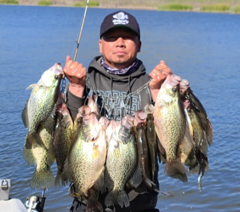 Crappie dominate Lake Hodges season opener