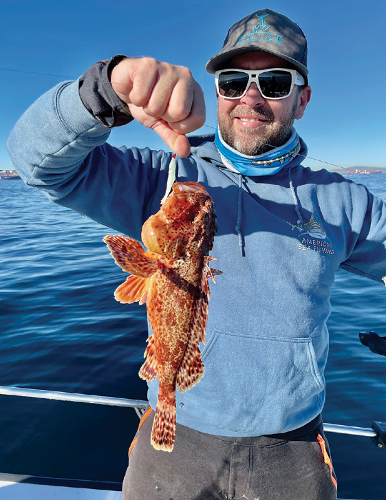 sculpin  socalsalty