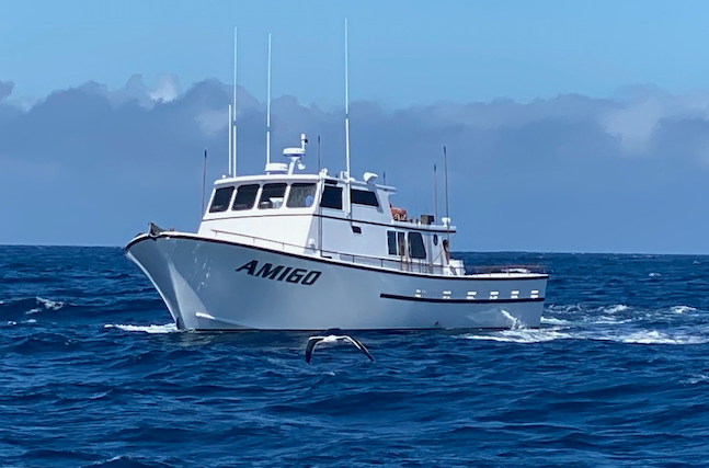 Loading  Saltwater boats, Bay boats, Sport fishing boats