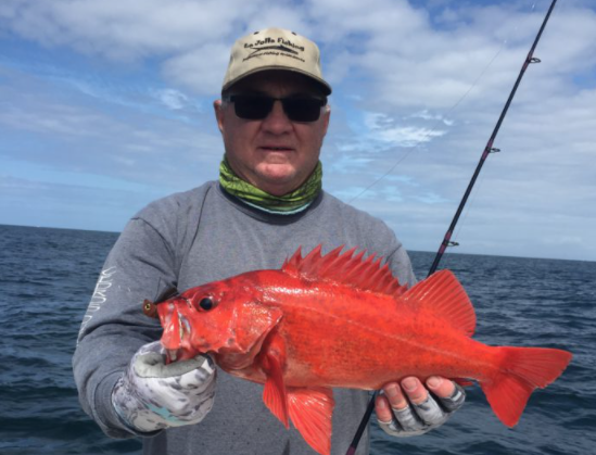 Rockfish basics for private boaters