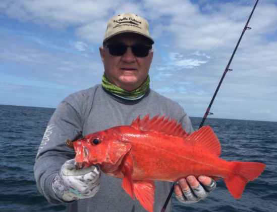 Burnt Orange Redfish – Boat Rock Outdoors