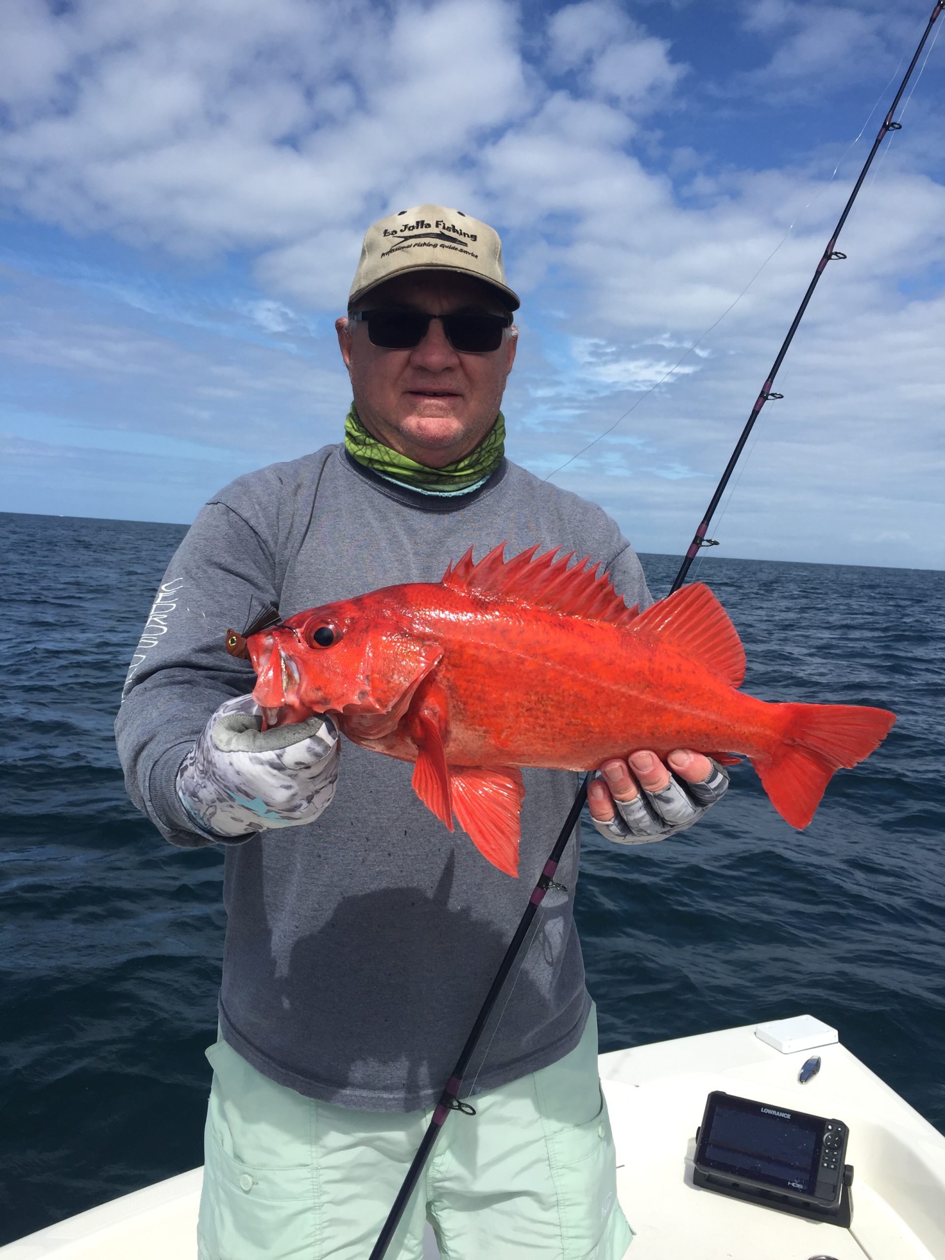 Red store rock fish