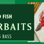 2-Chatterbaits-web