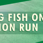 3-Grunions-web