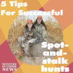 3-Spot-and-stalking-tips-insta