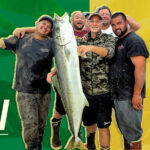 4-Yellowtail-yo-yos-web