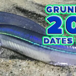 Grunion-header