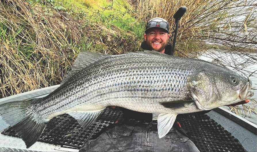 Monster Sac River stripers take father-and-son team for a ride