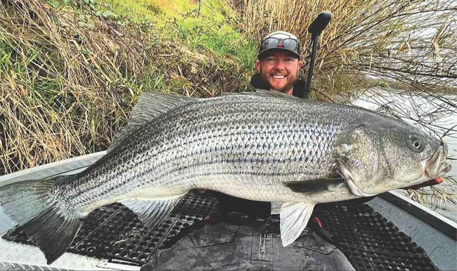 Fishing - Striped Bass, Fishing, Father's Day, Bass Fish Image, Striped Sea  Bass, Digital Image