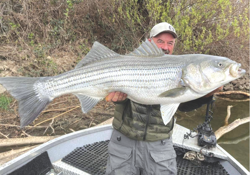 Whisker Seeker Pro Spencer Bauer with River Certified is no stranger to big  catfish! Check him out at