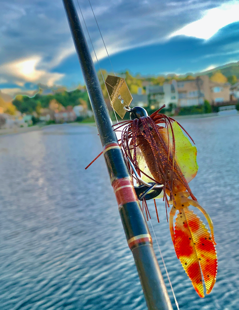 NAKED CHATTERBAIT // When To FISH A Chatterbait WITHOUT A SKIRT