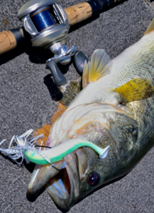 Hookup Lures XL Series Jig Heads - Capt. Harry's Fishing Supply