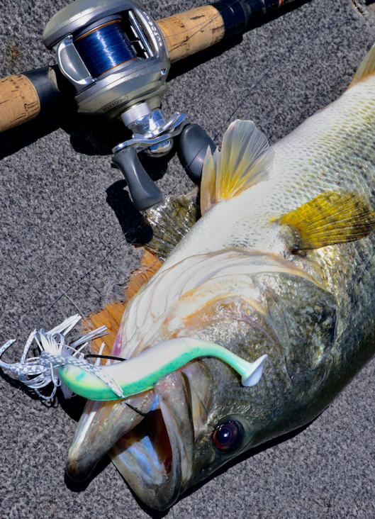 The ONLY Chatterbait Trailer you NEED for Pre Spawn Bass Fishing