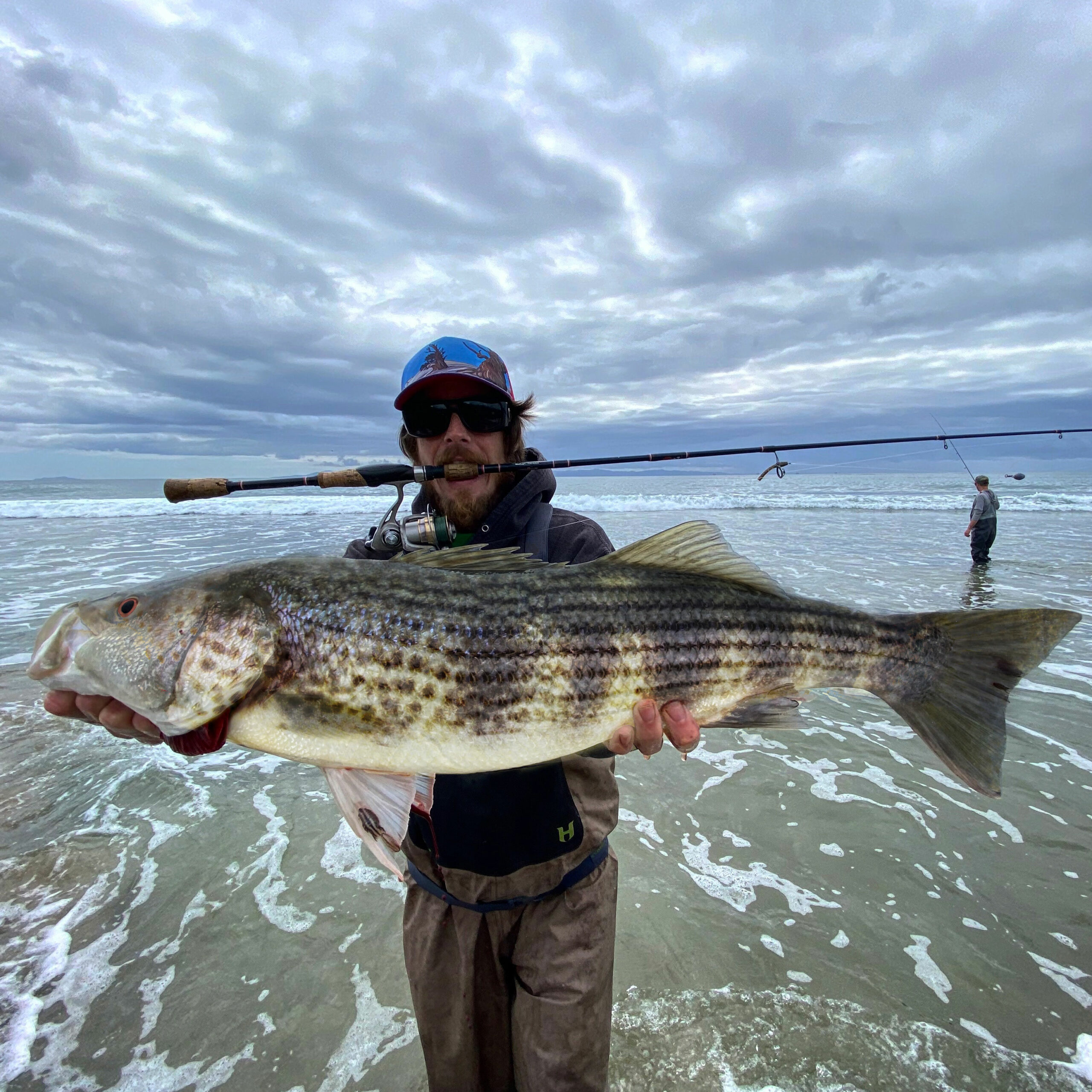 The most INSANE White Seabass Fishing in California (Catch, Clean