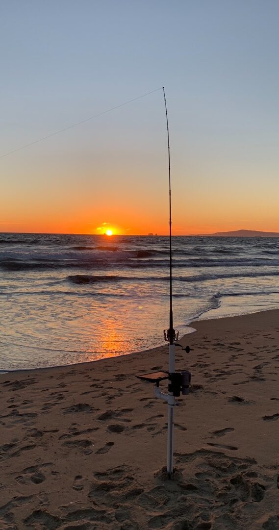 Surf fishing: A ray to remember