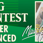 3-WRITING-CONTEST-web