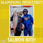 5-MONTEREY-insta