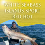 6-WHITE-SEABASS-insta