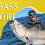 6-WHITE-SEABASS-web