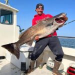 Anthony Gibbs 70-pound white sea bass