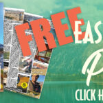 ESP-web-banner