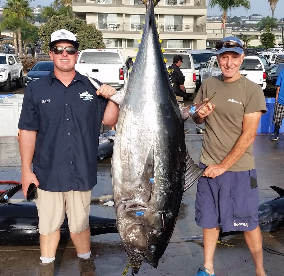 Jigging for Bluefin Tuna - On The Water