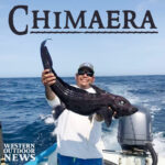 6-CHIMAERA-insta