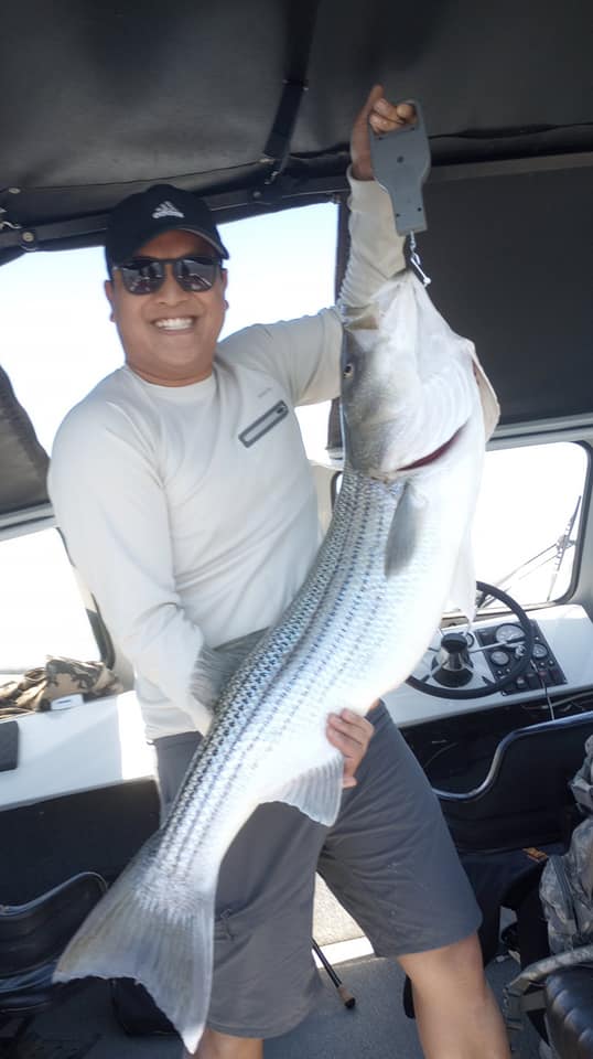 San Joaquin-Delta striped bass action 'as good as in recent memory'  Largemouth bass up and down with the changeable weather.