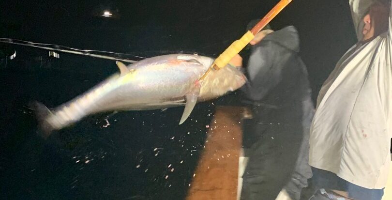 Nighttime Fishing for Bluefin Tuna