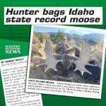 STATE-RECORD-moose-insta