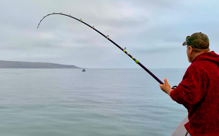 What's in the 60 Year old Tackle Box? Bat Ray Trouble :Morro Bay