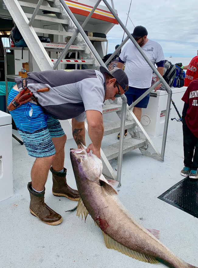 SoCal Scene White Sea Bass Gear