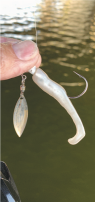 Impulse Core Swimbait for Late Spring Fishing