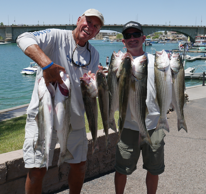 Big fish counts and prize hauls highlighted the WON Lake Havasu