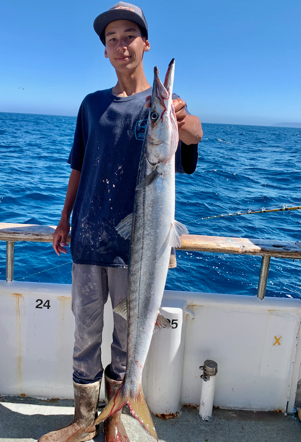 Sportboat fishing: how to catch barracuda on irons and jigs